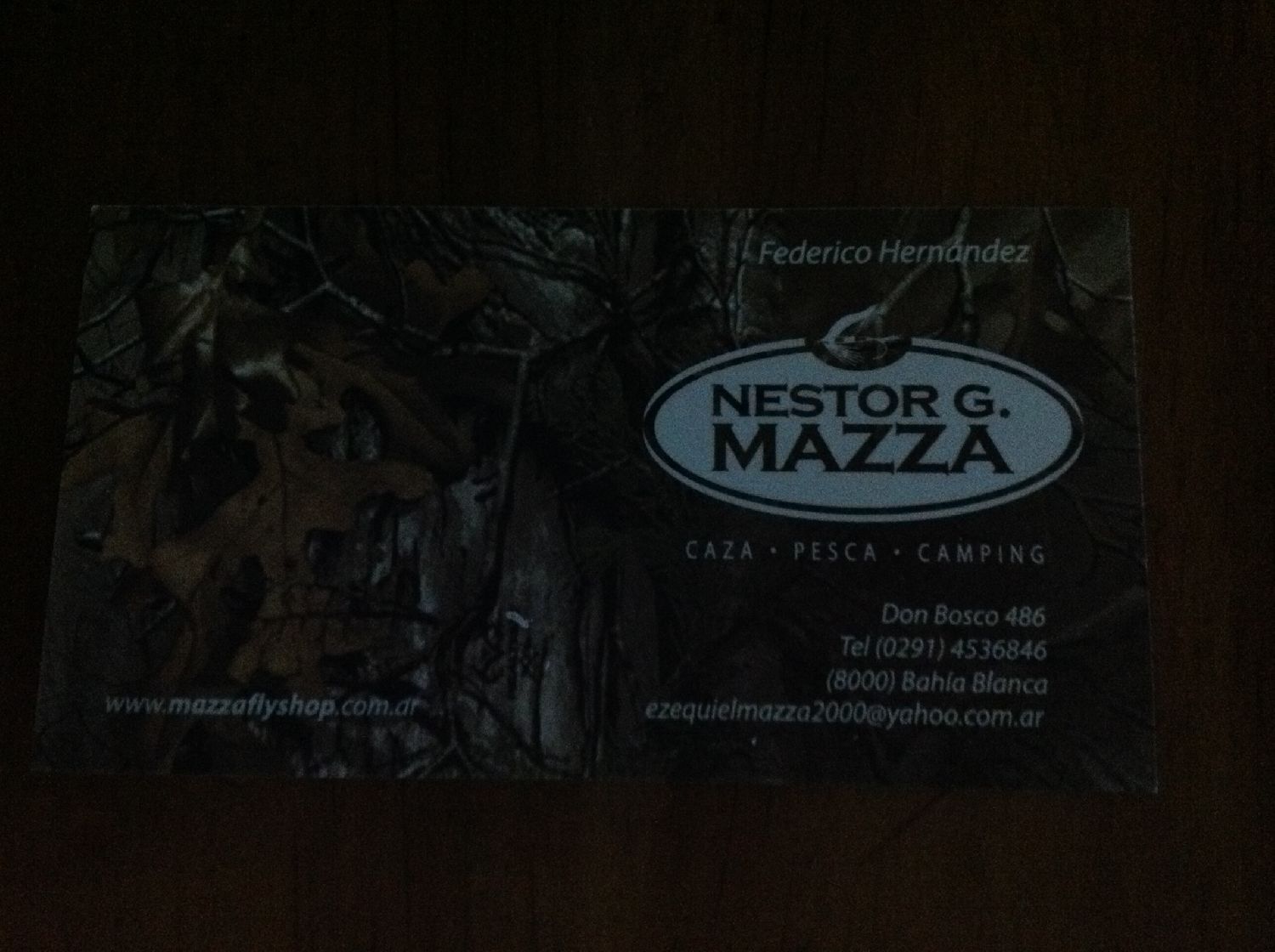 Logotipo Nestor G Mazza