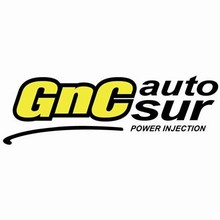 Logotipo GNC Auto Sur