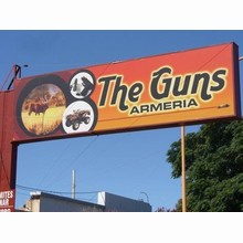 Logotipo The Guns Armeria