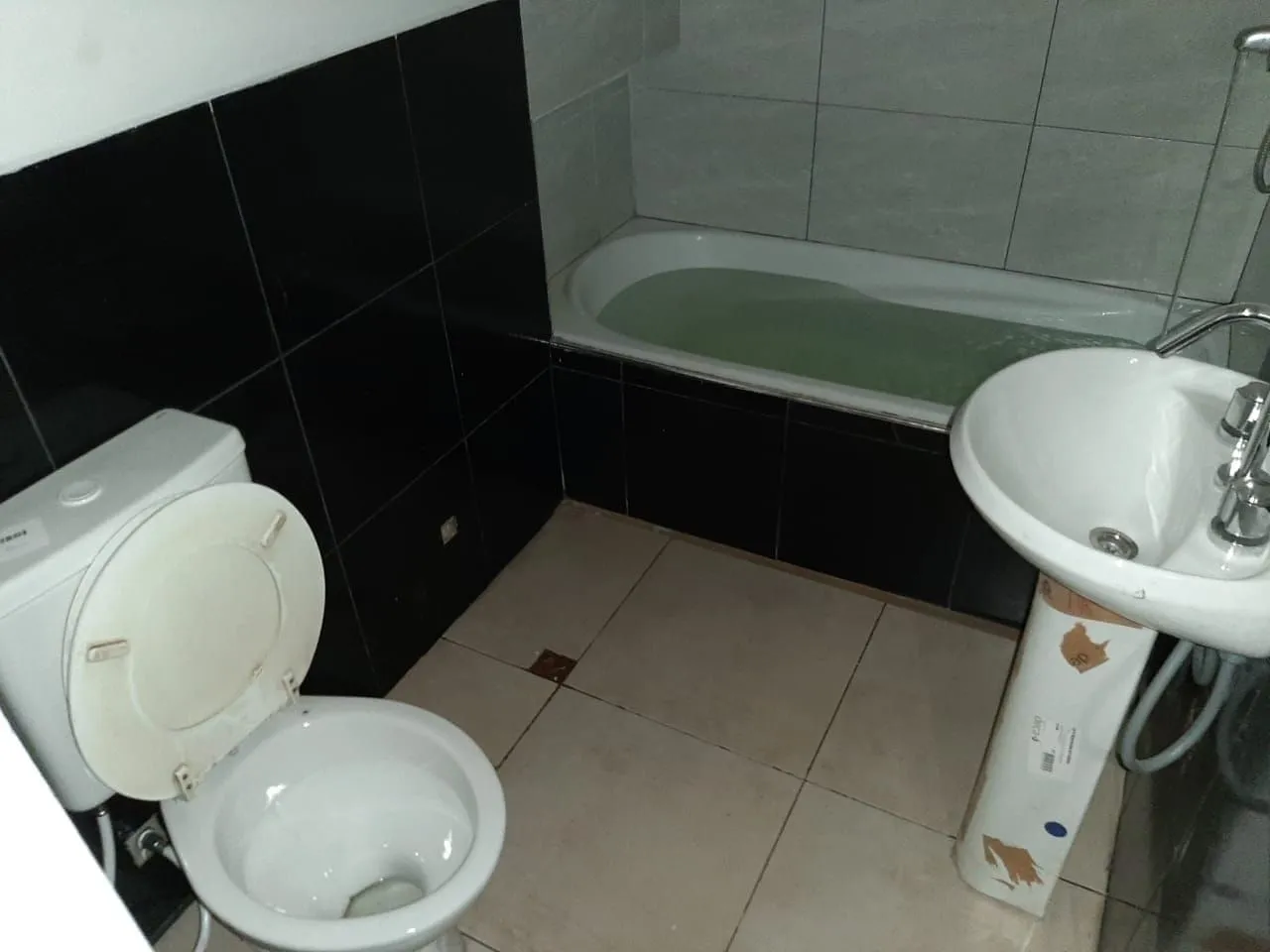 Galería de fotos #4