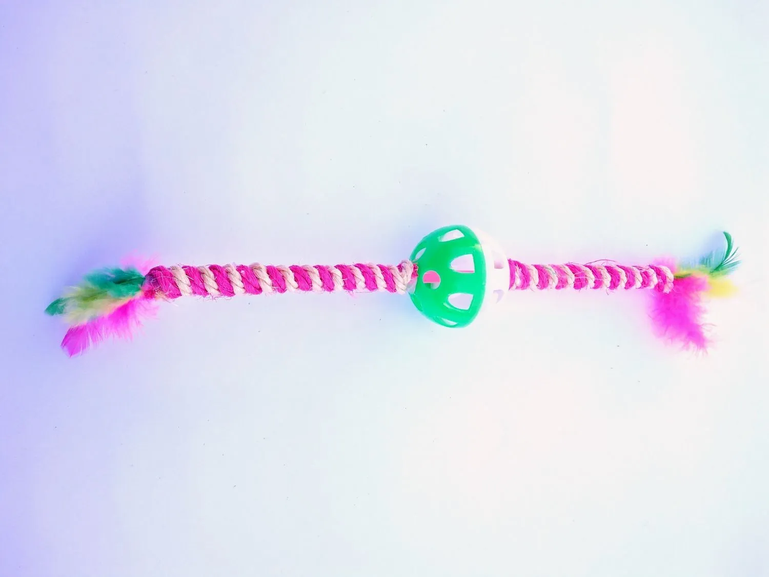 Galería de fotos #1