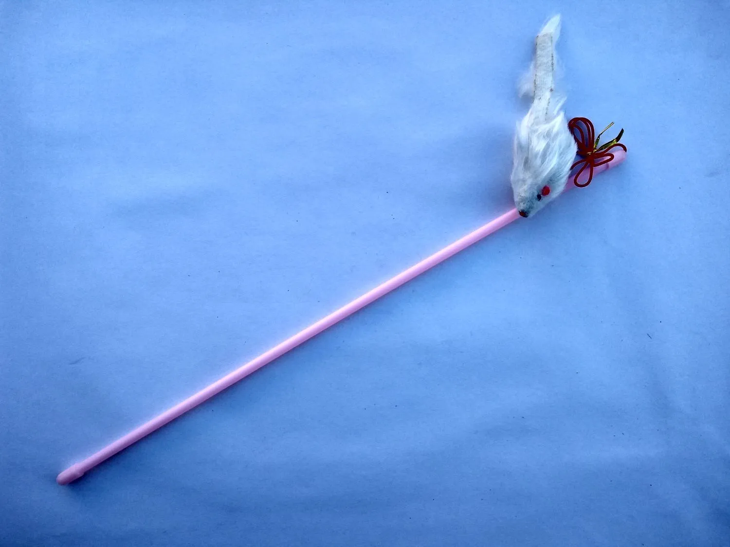 Galería de fotos #1