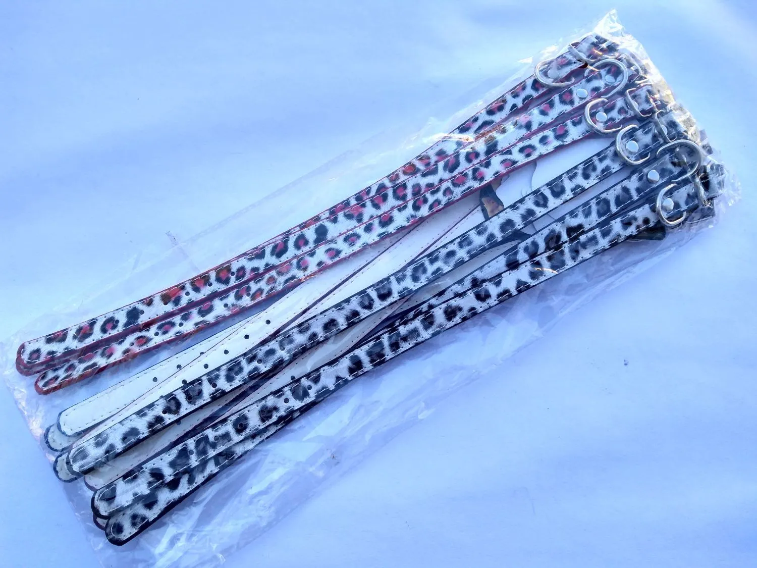 Galería de fotos #1