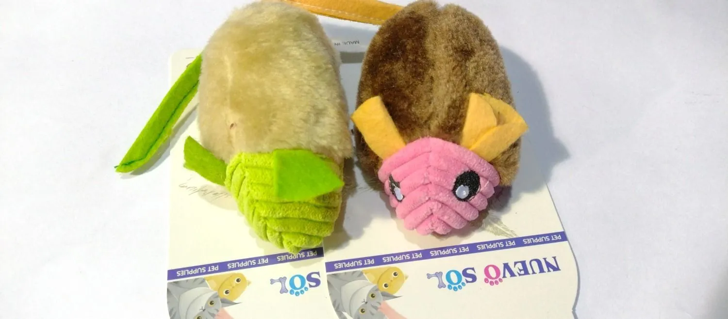 Galería de fotos #1