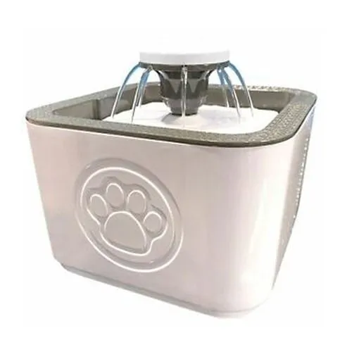 Galería de fotos #2