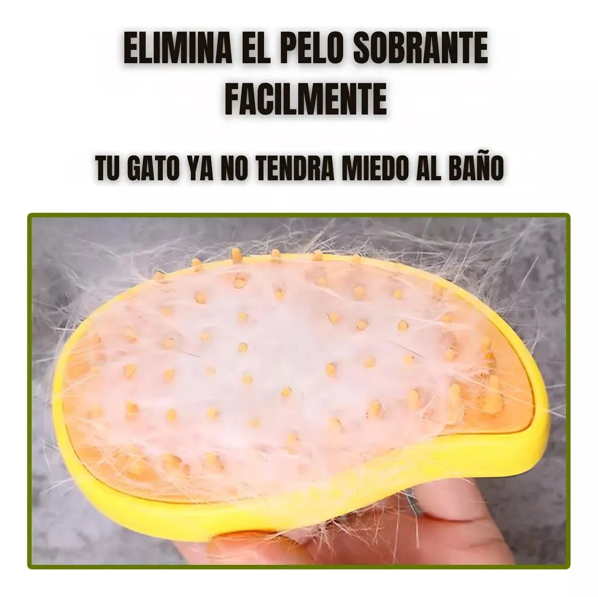 Galería de fotos #5