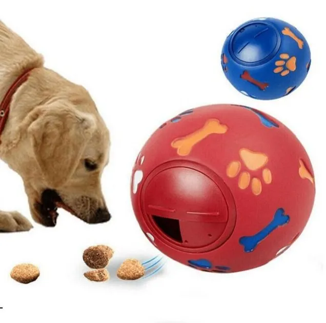 Galería de fotos #1