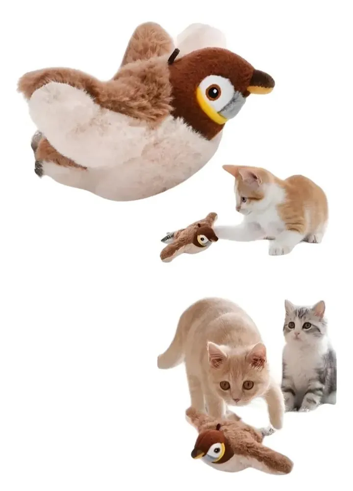 Galería de fotos #1