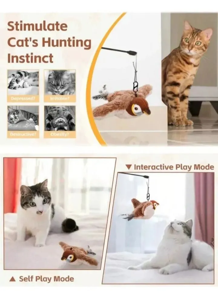 Galería de fotos #4