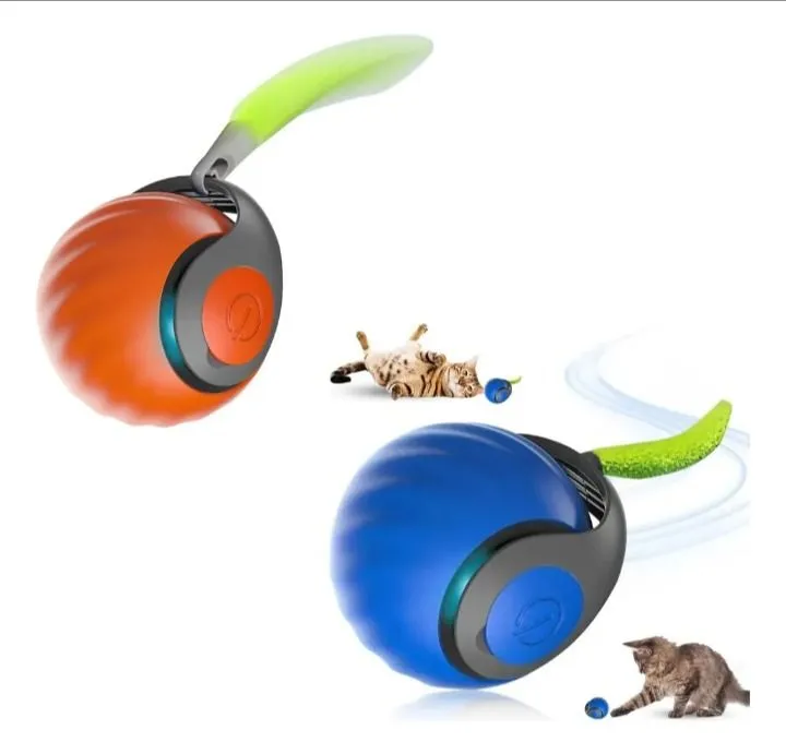 Galería de fotos #1