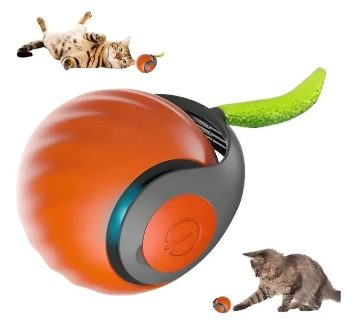 Galería de fotos #2