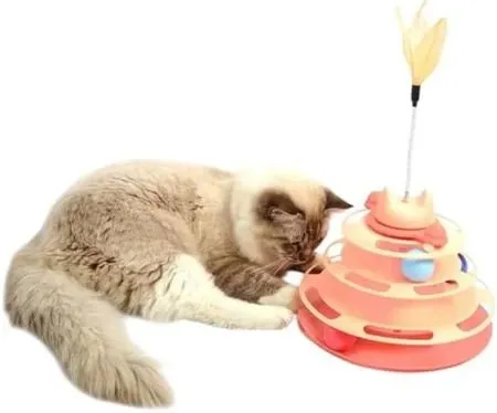 Galería de fotos #1