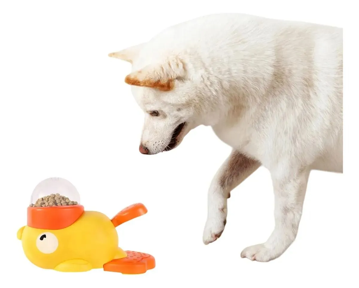 Galería de fotos #3