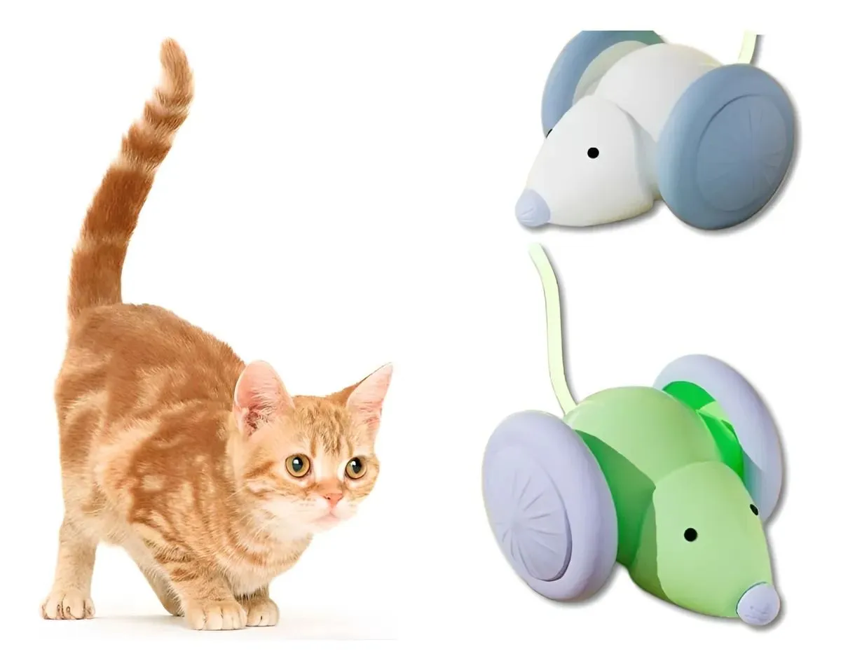 Galería de fotos #2