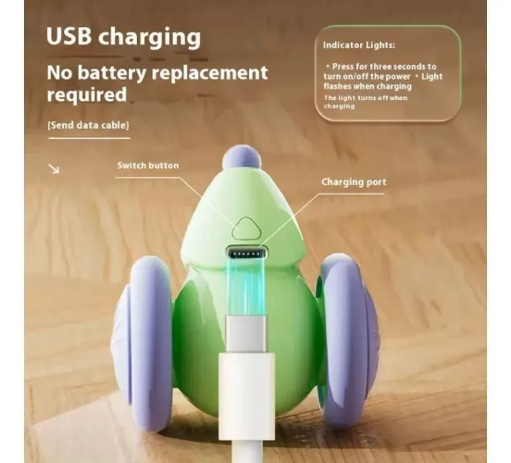 Galería de fotos #5