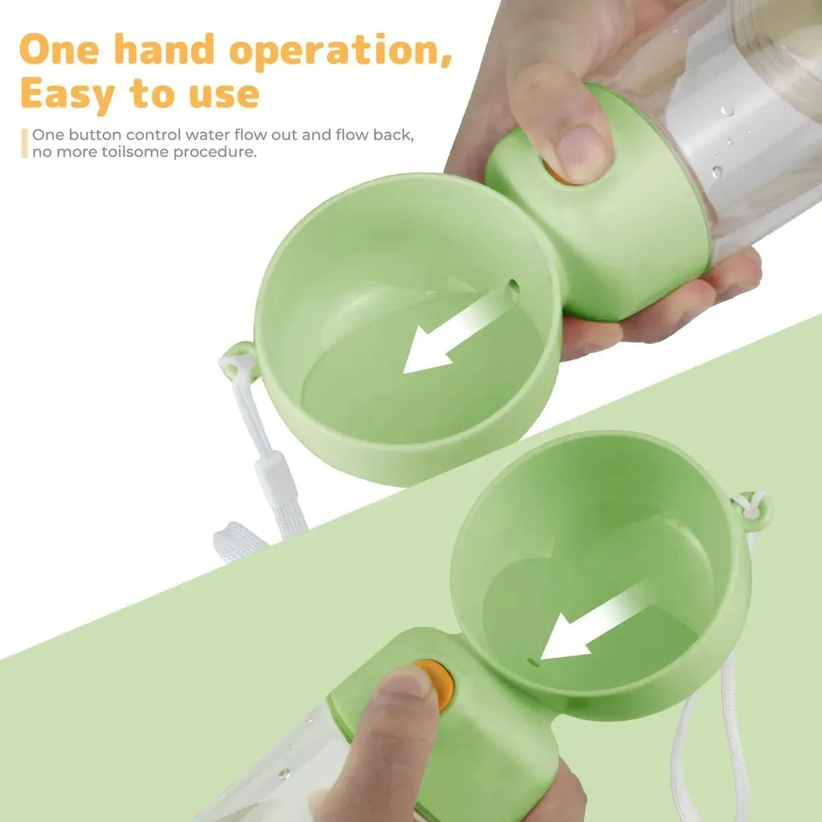 Galería de fotos #3