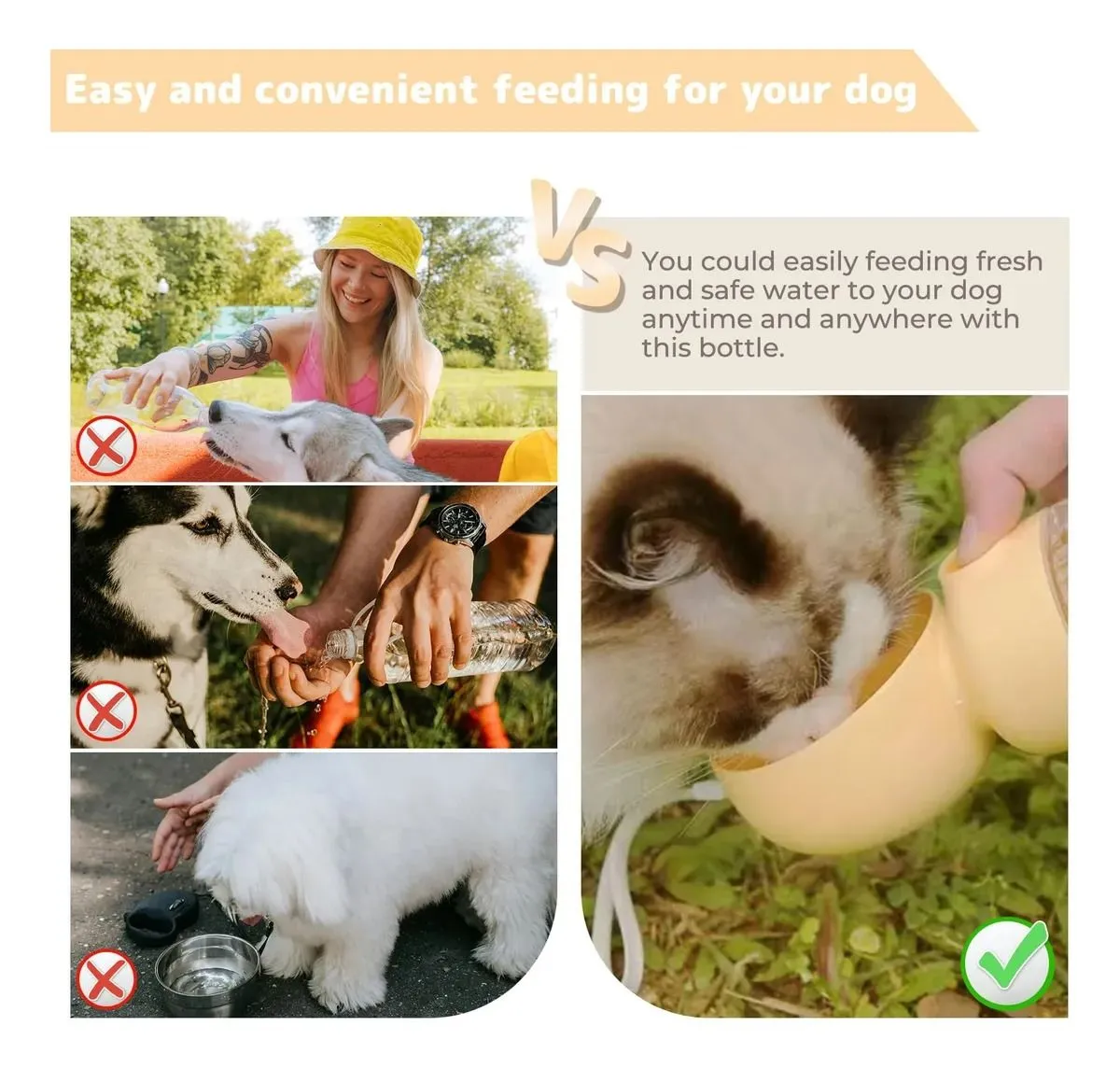 Galería de fotos #6