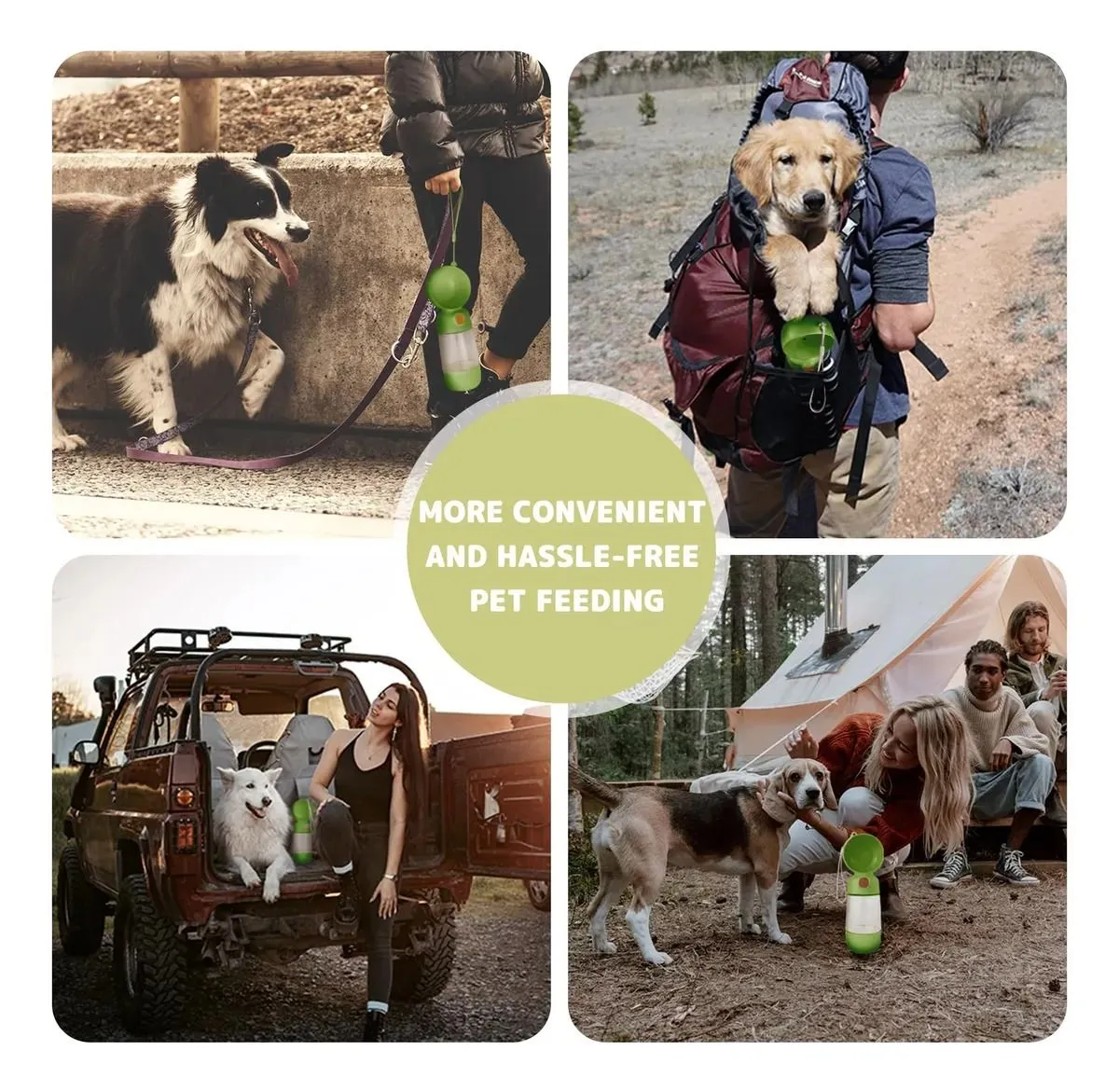 Galería de fotos #7