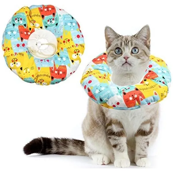 Galería de fotos #1