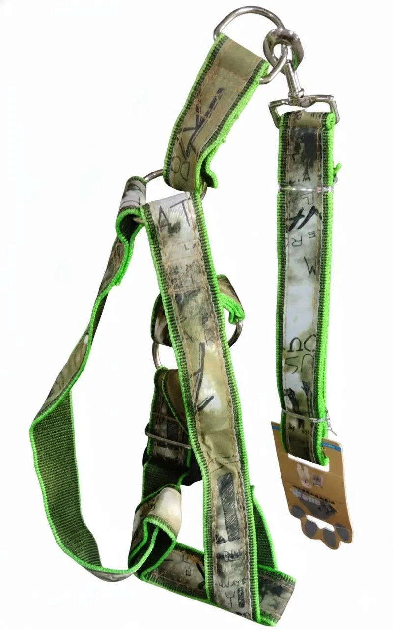 Galería de fotos #1