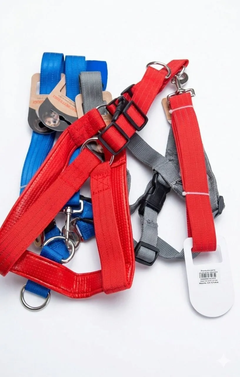 Galería de fotos #1