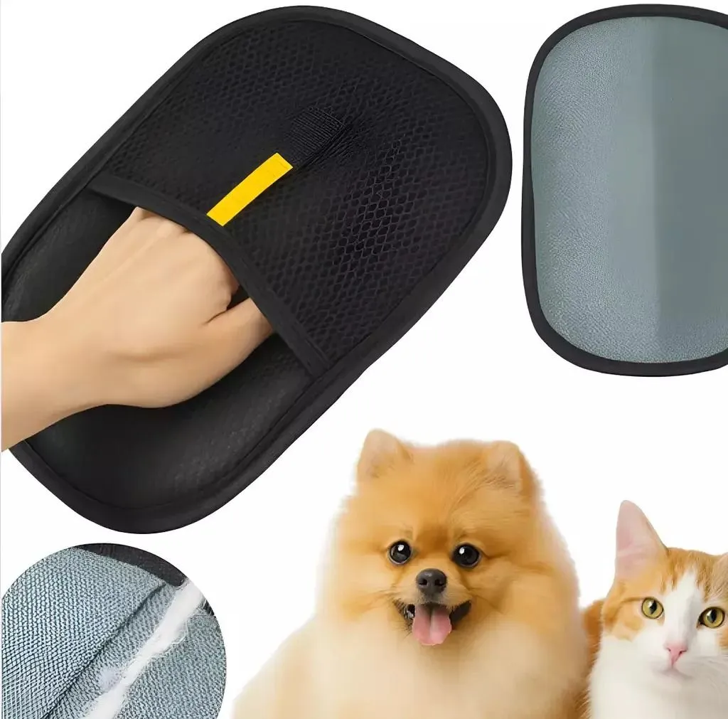 Galería de fotos #4