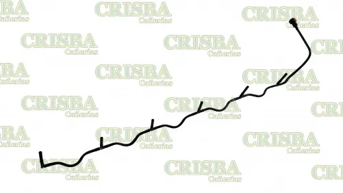 Galería de fotos #1