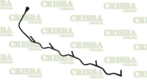 Galería de fotos #1