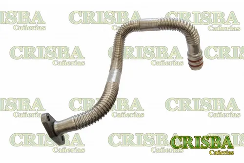 Galería de fotos #1