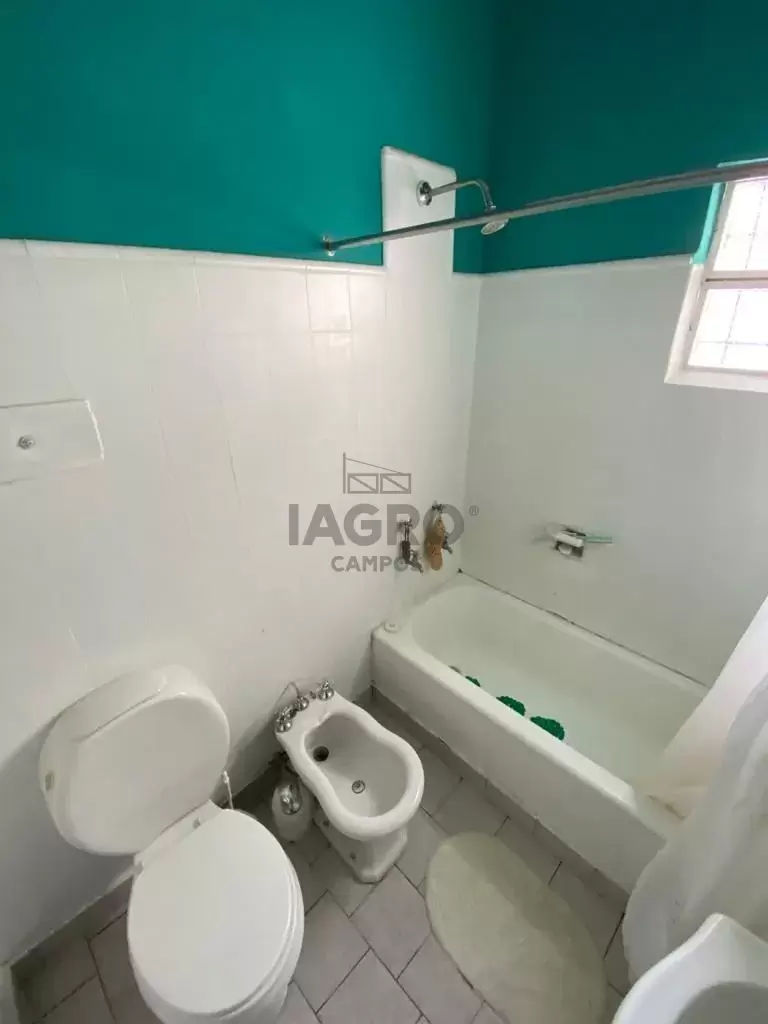 Galería de fotos #6