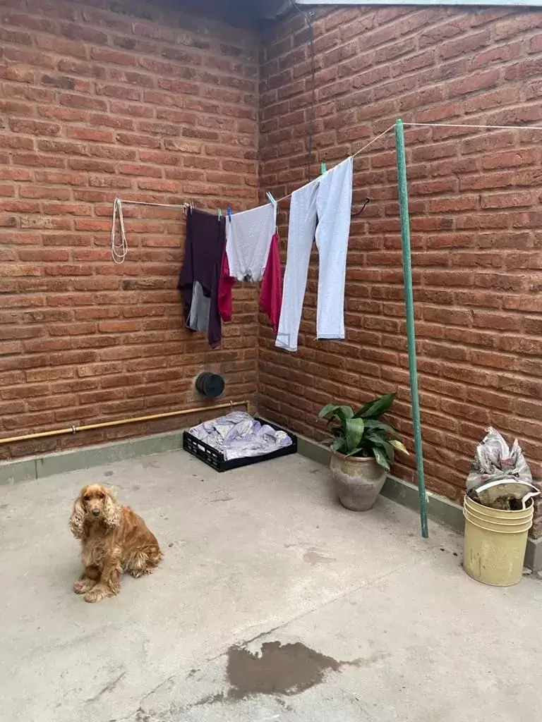 Galería de fotos #13