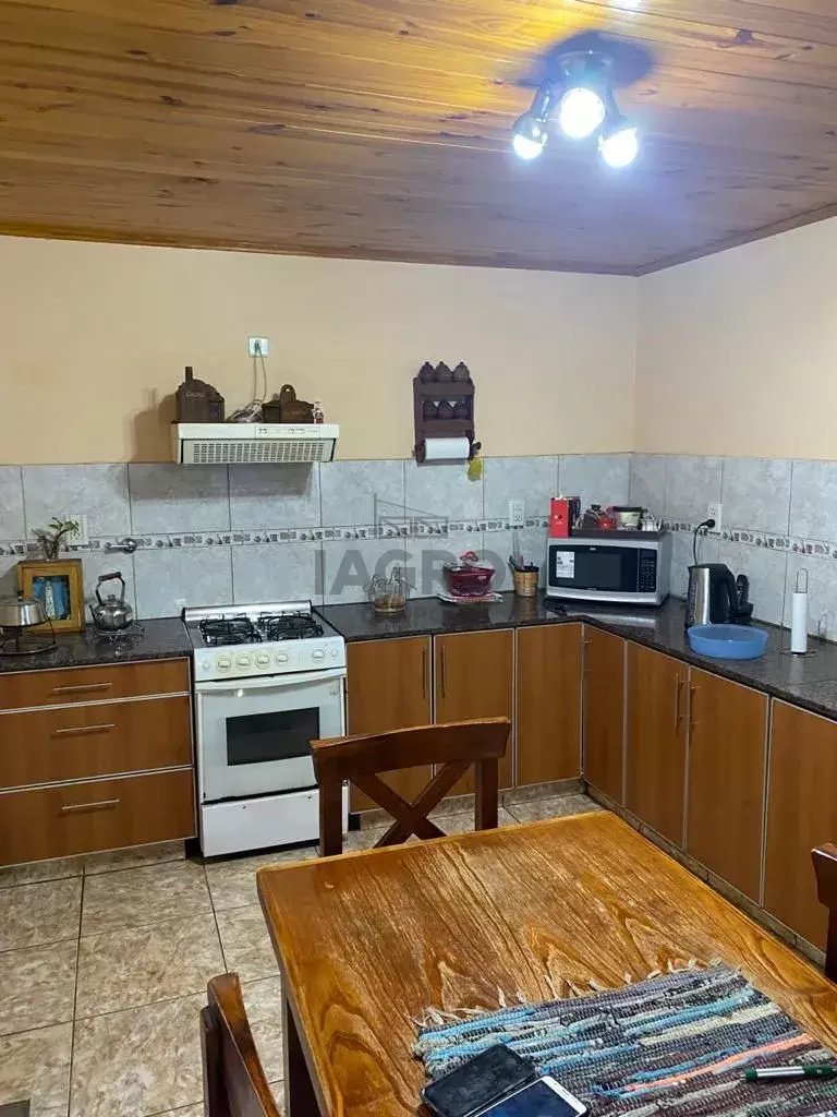 Galería de fotos #5
