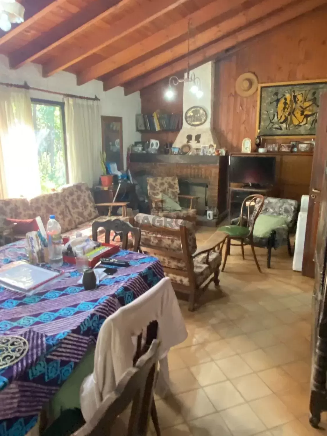 Galería de fotos #3