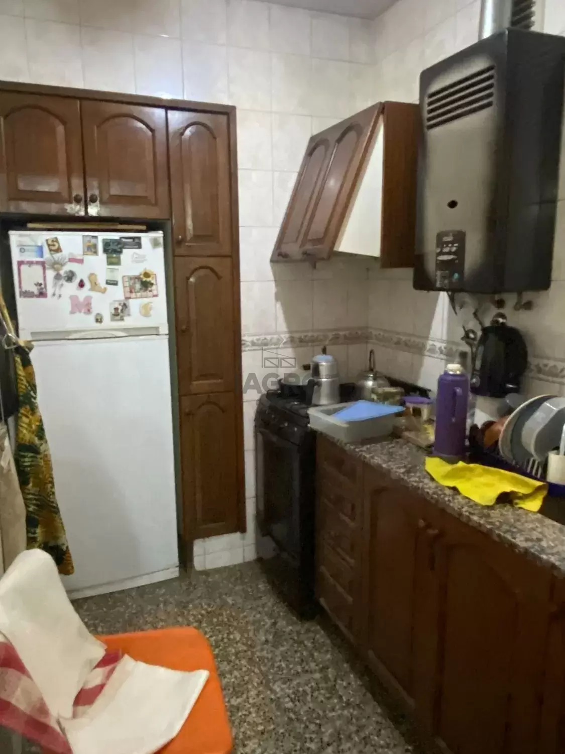 Galería de fotos #5