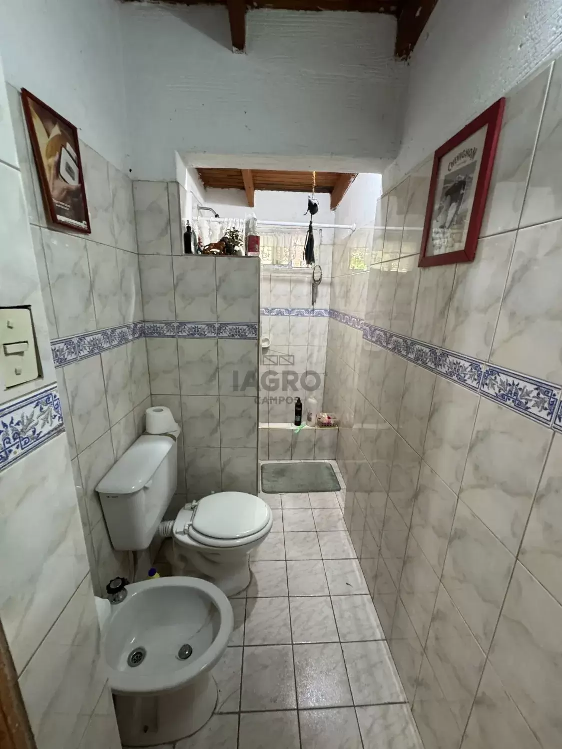 Galería de fotos #7