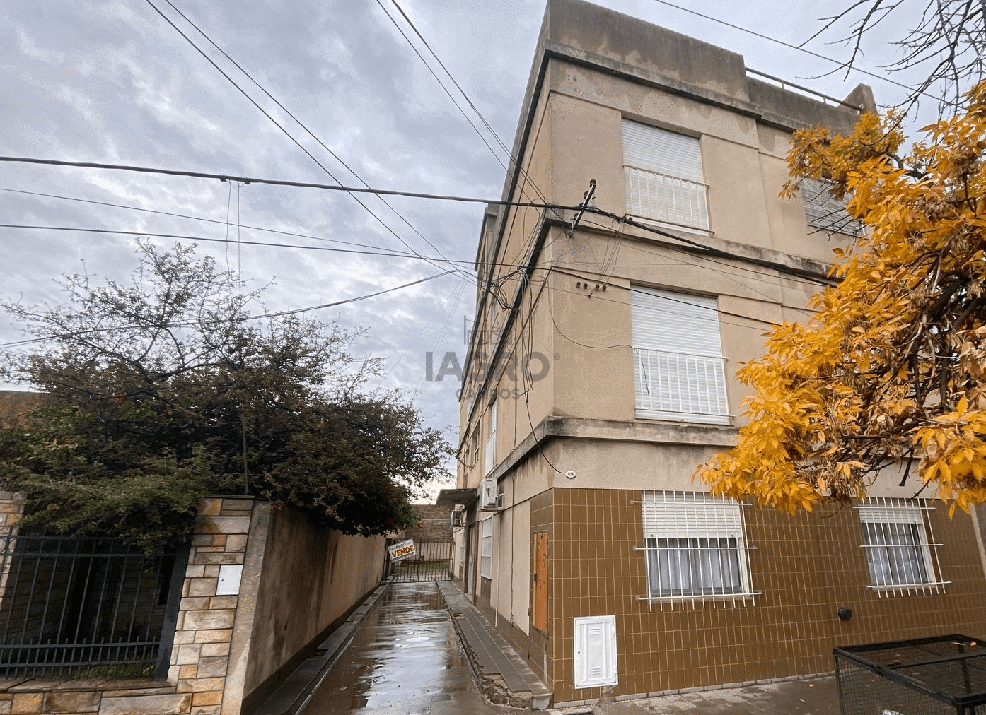Galería de fotos #1