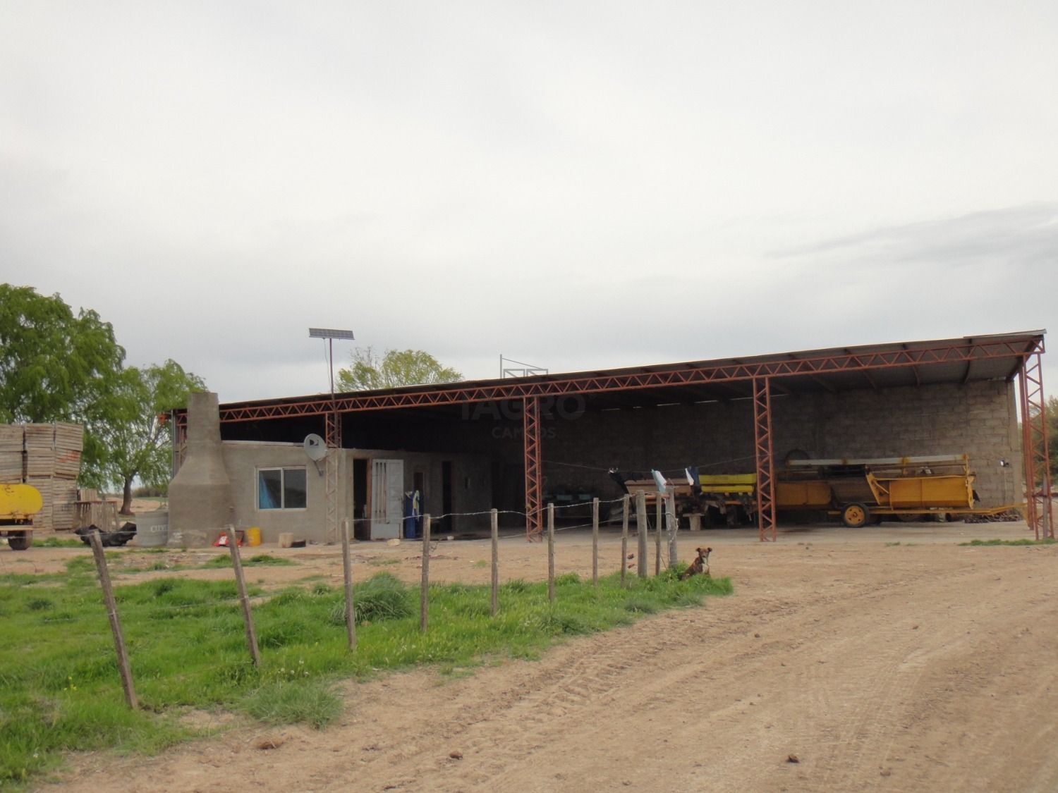 Galería de fotos #8