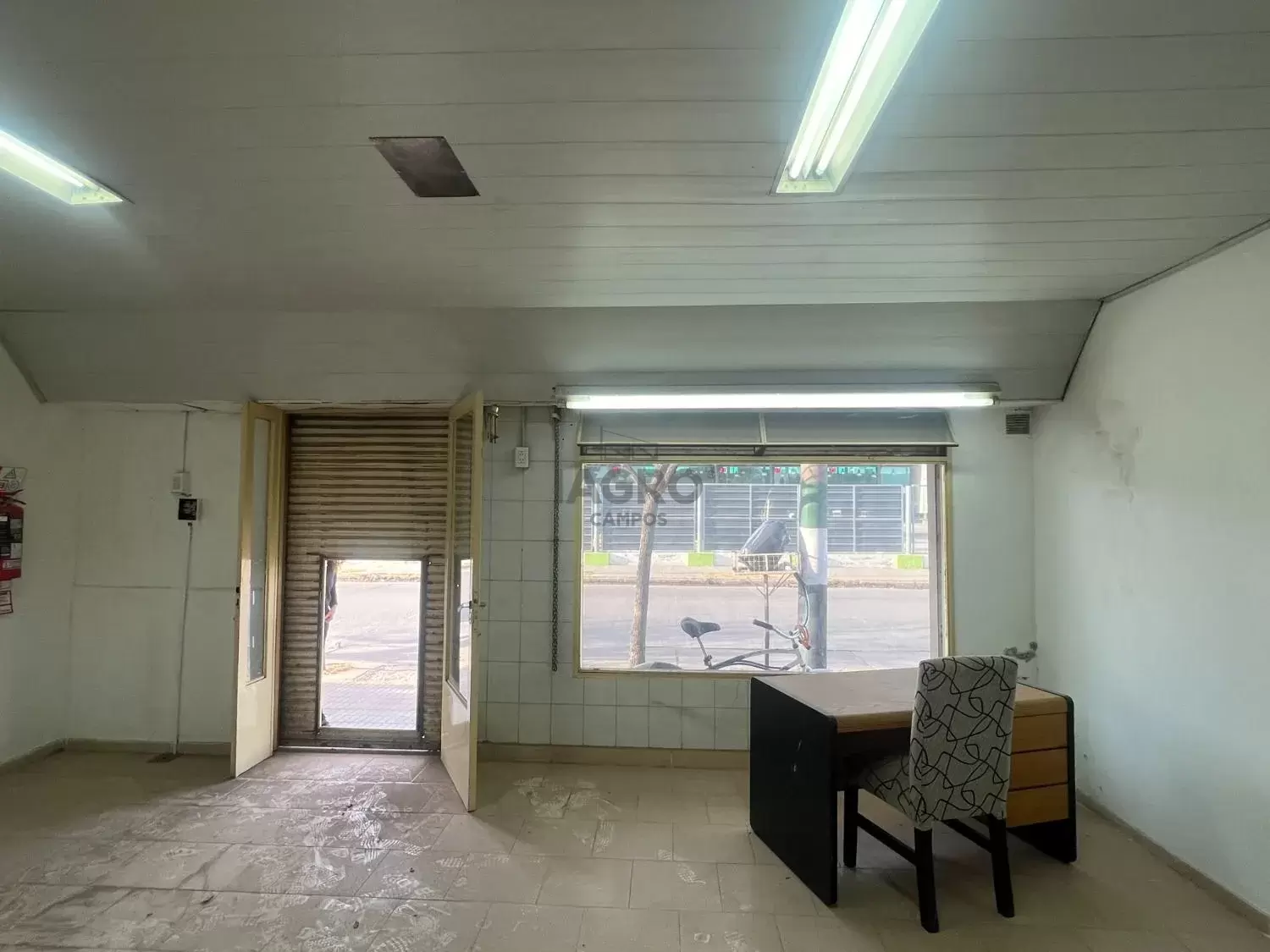 Galería de fotos #2