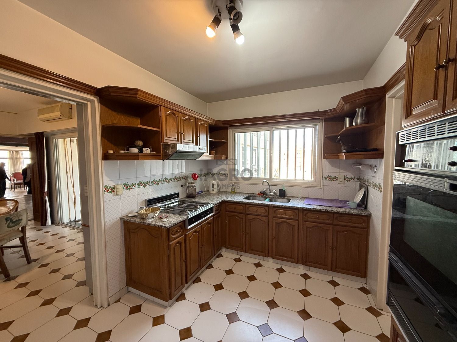 Galería de fotos #2