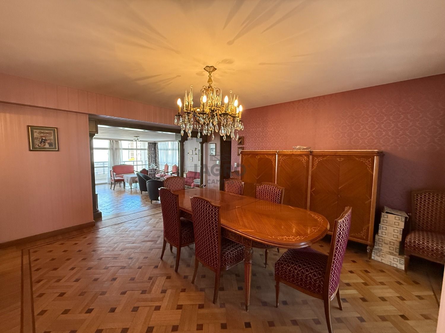 Galería de fotos #5