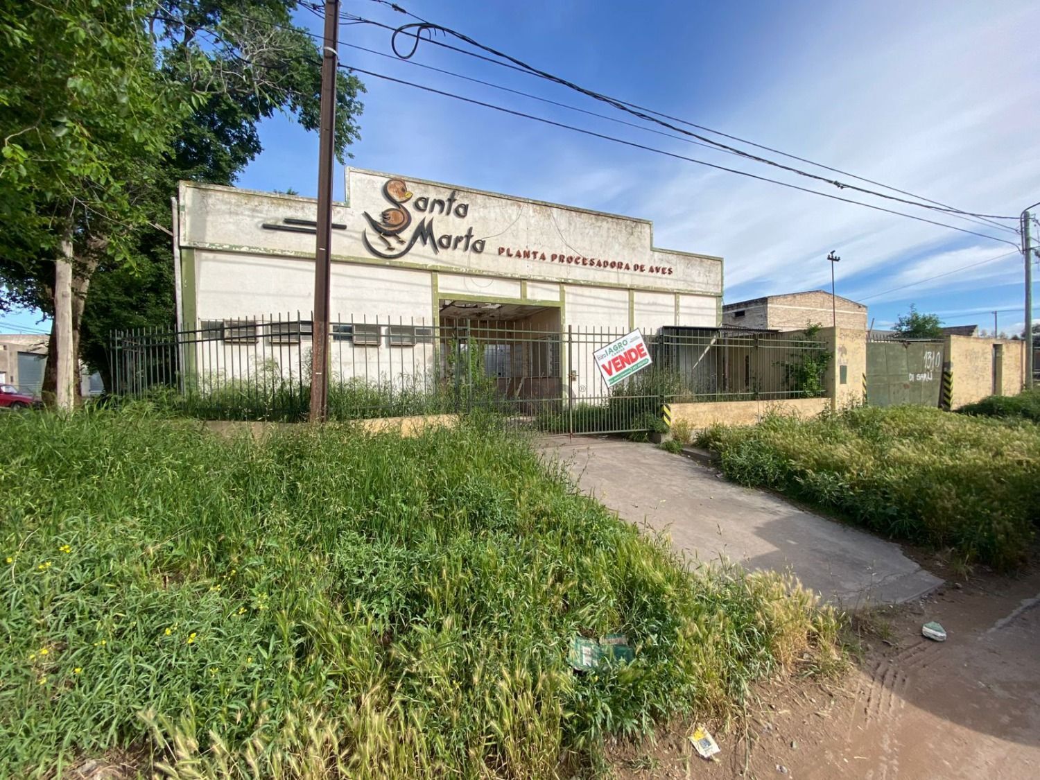 Galería de fotos #1