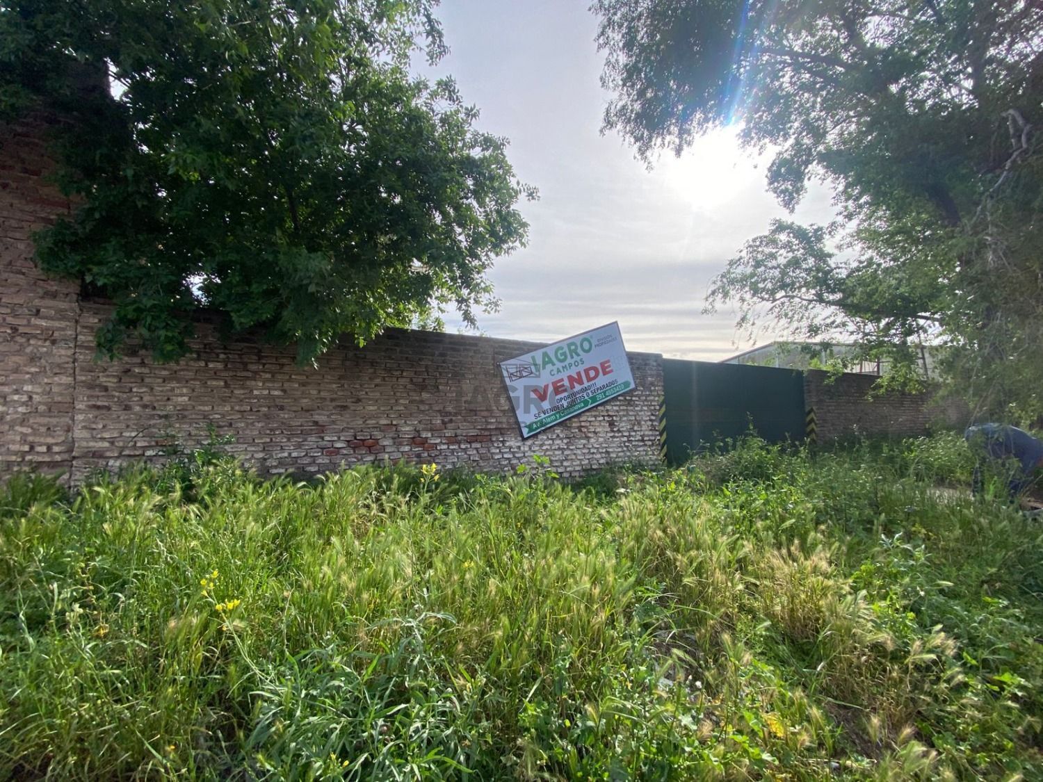 Galería de fotos #3