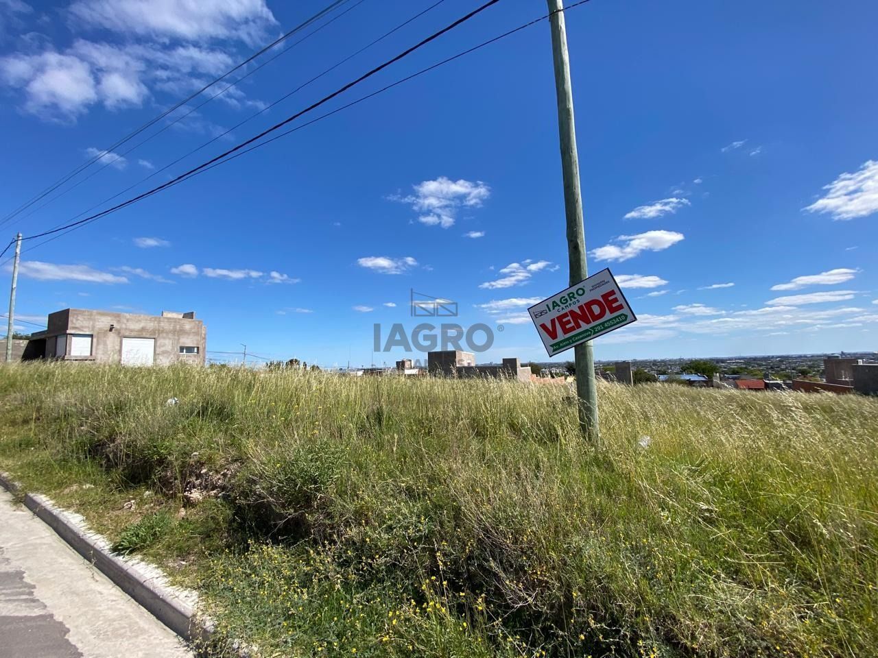 Galería de fotos #1