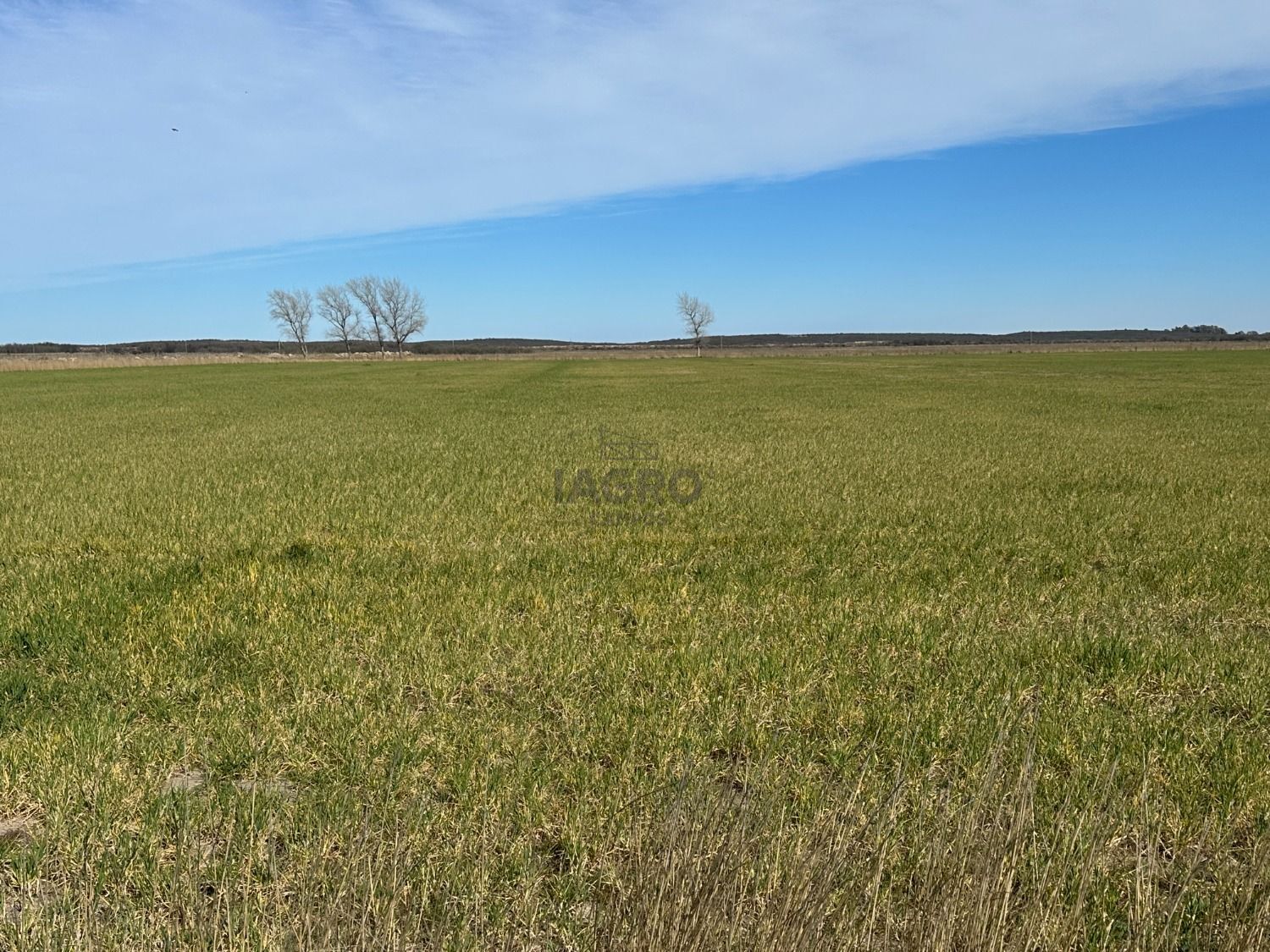 Galería de fotos #1