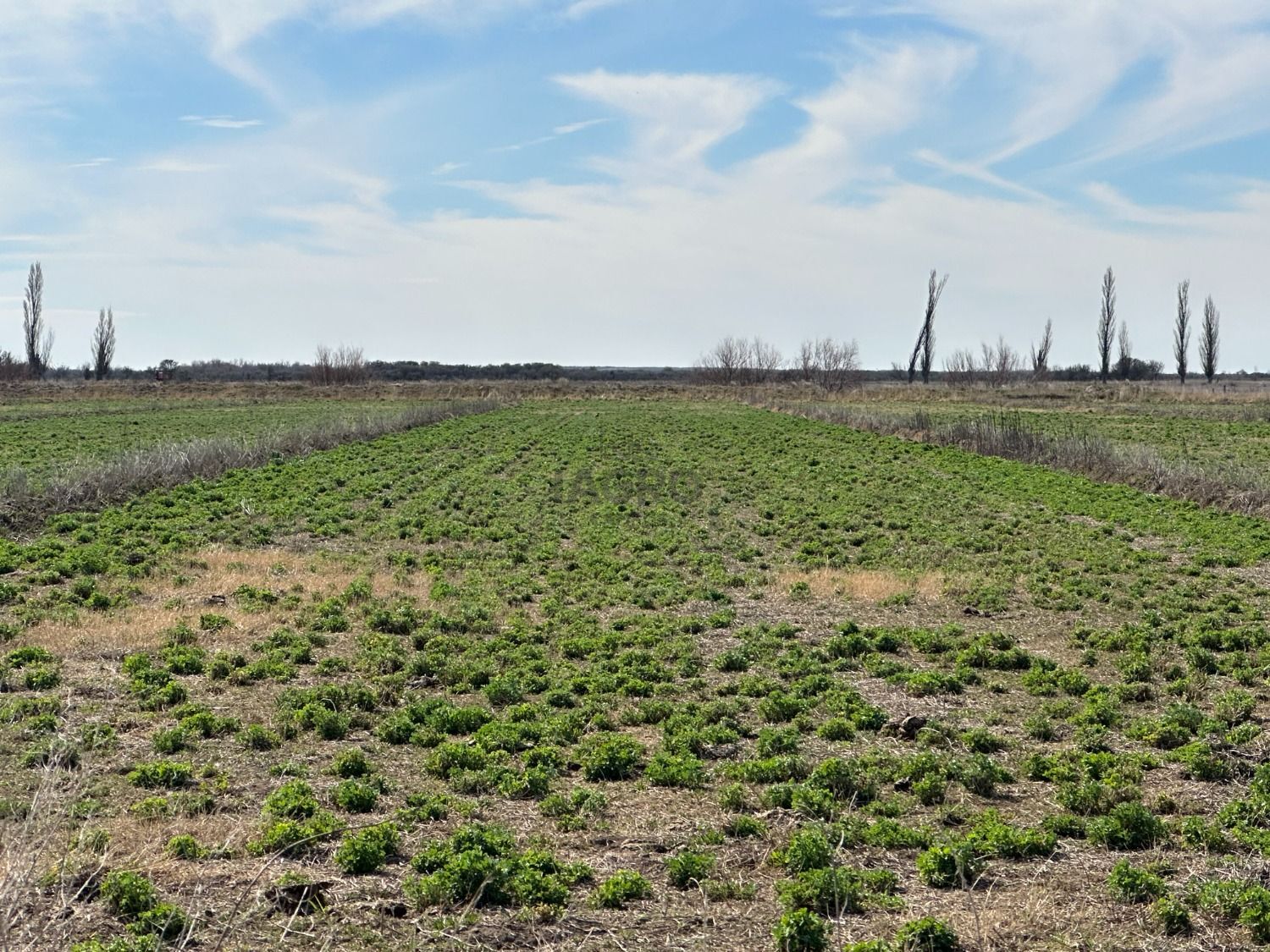 Galería de fotos #2