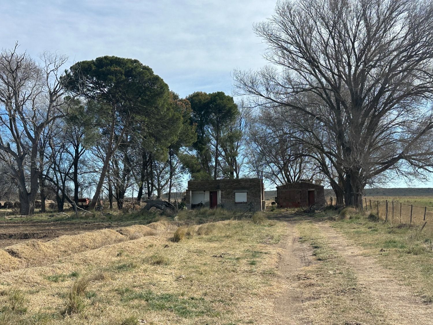 Galería de fotos #3