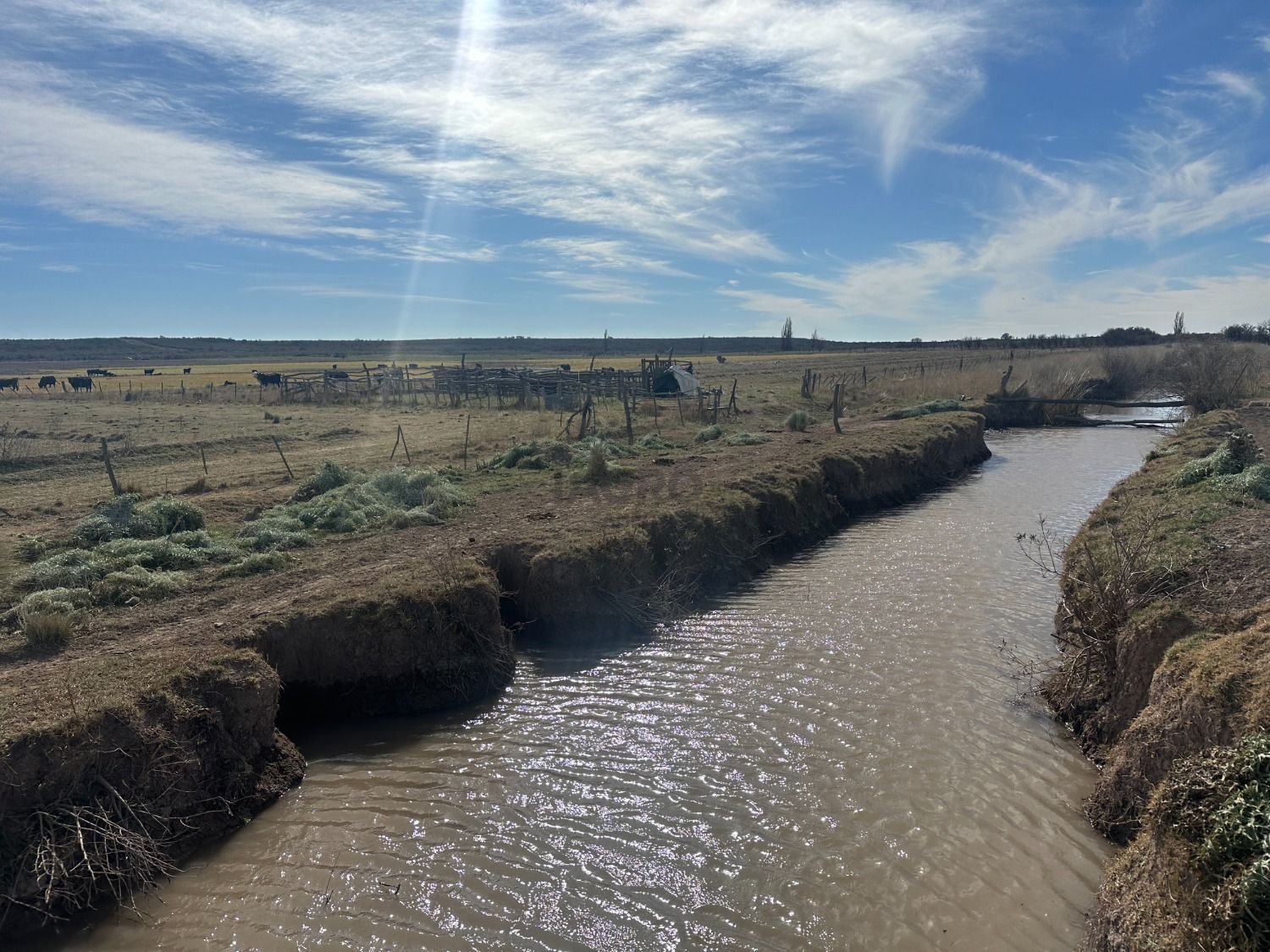 Galería de fotos #4