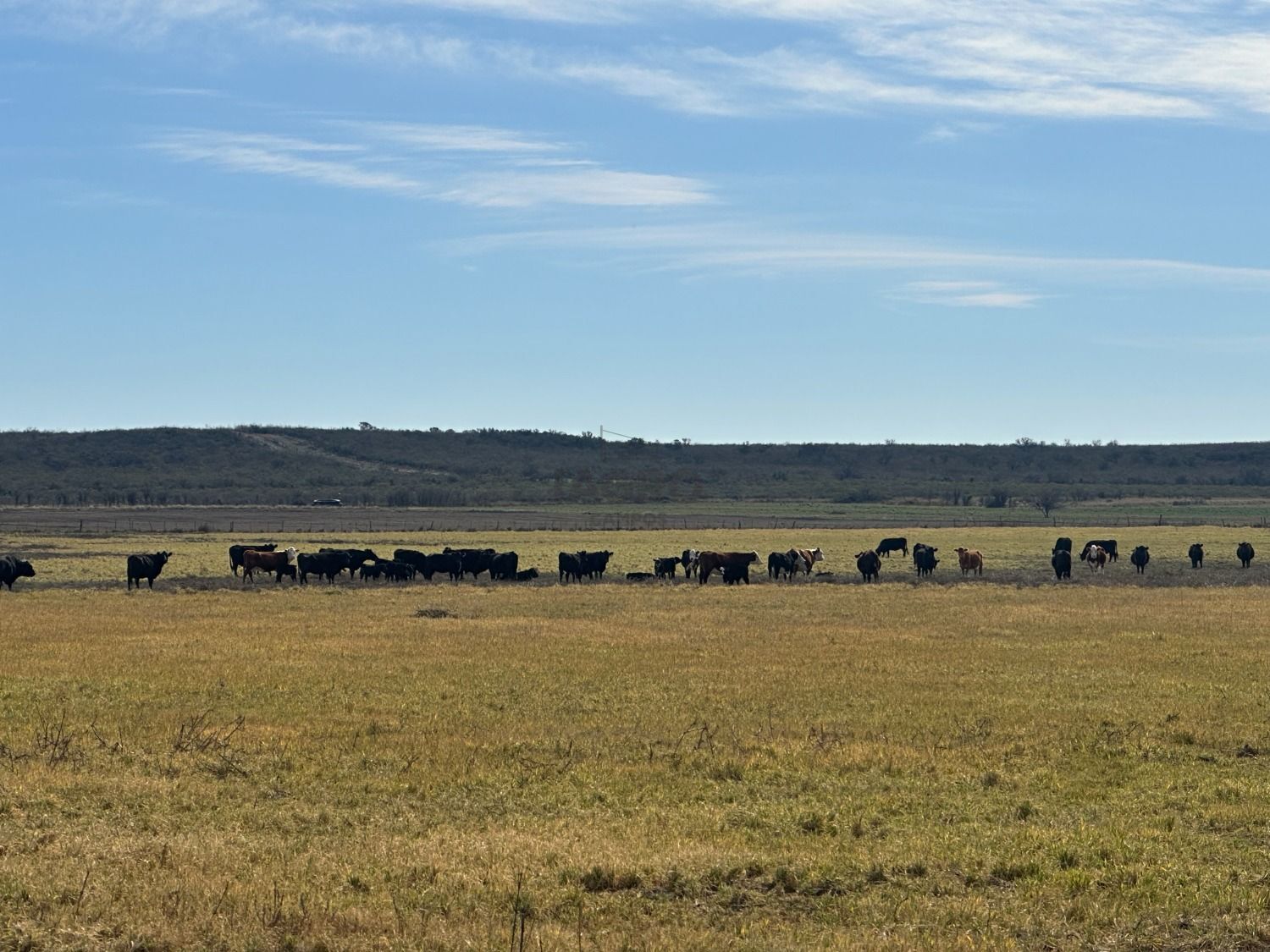 Galería de fotos #5