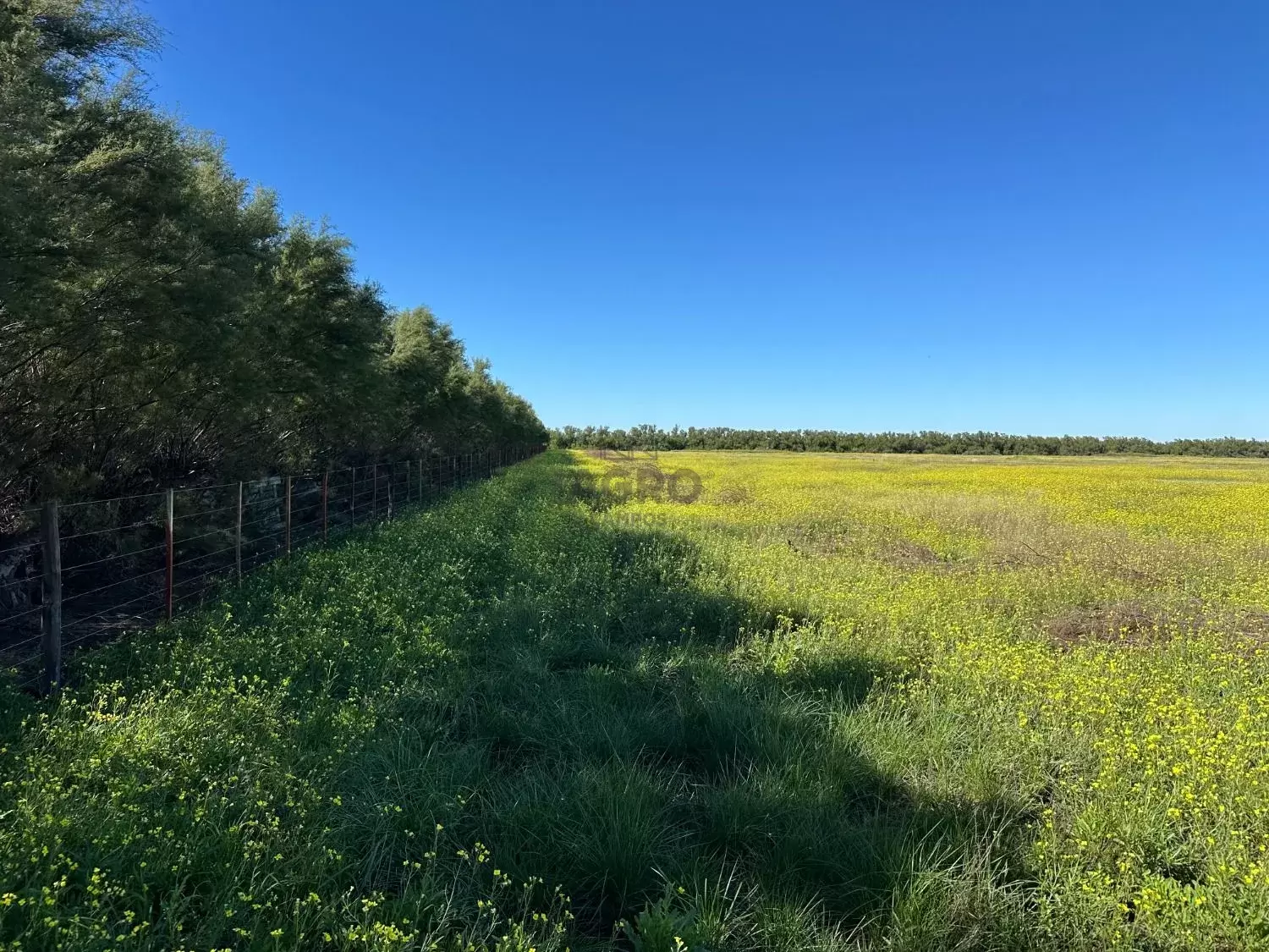 Galería de fotos #3