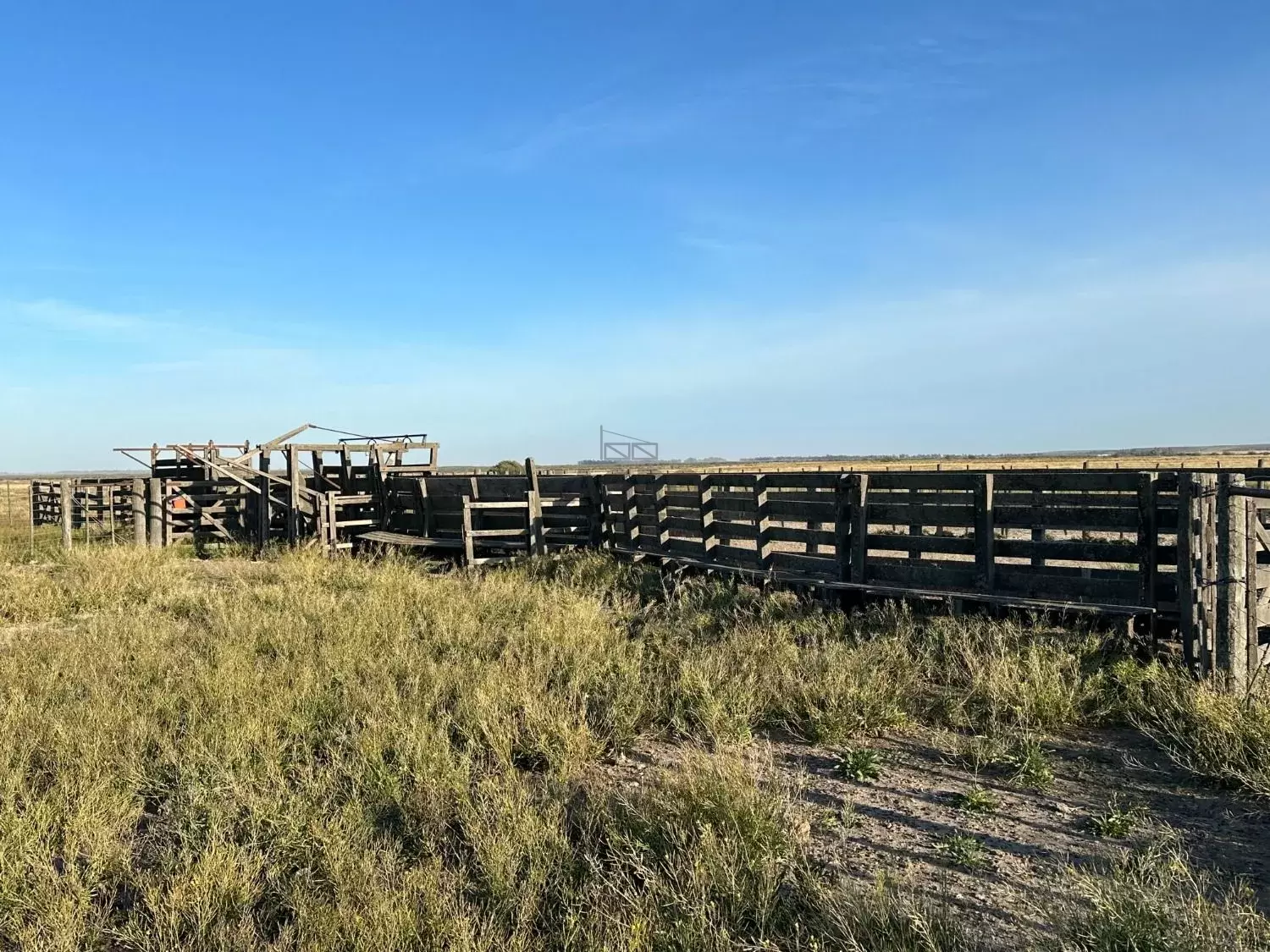 Galería de fotos #4